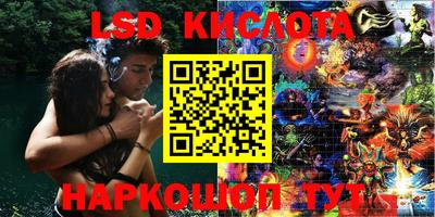 шишки Апшеронск