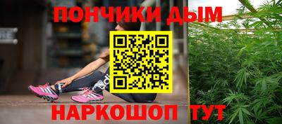 шишки Апшеронск