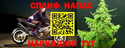 шишки Апшеронск