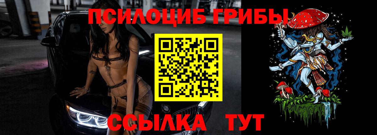 как найти наркотики  Артём  Галлюциногенные грибы Magic Shrooms 